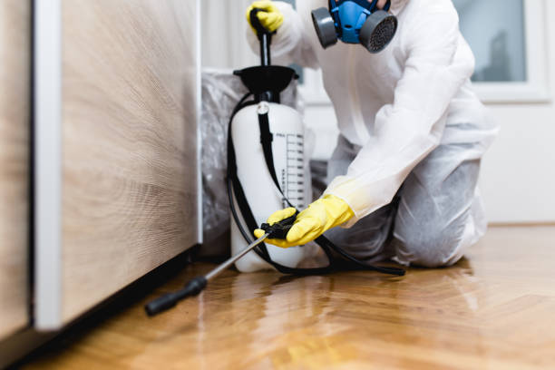 Best Mosquito Control Services  in Aurora, IL
